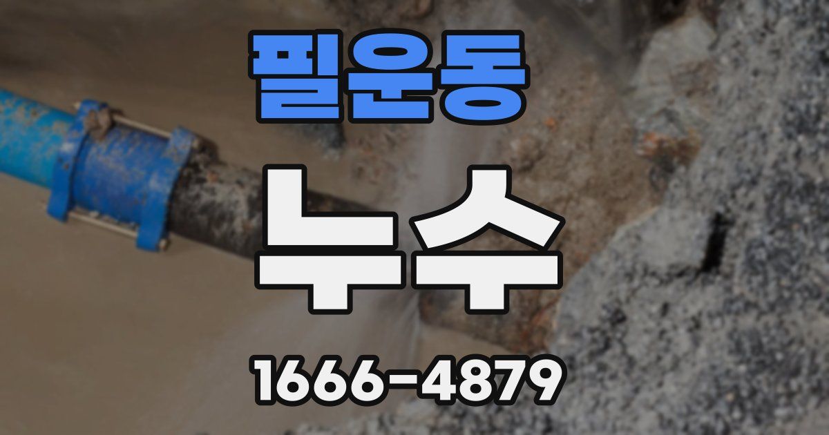 필운동 누수