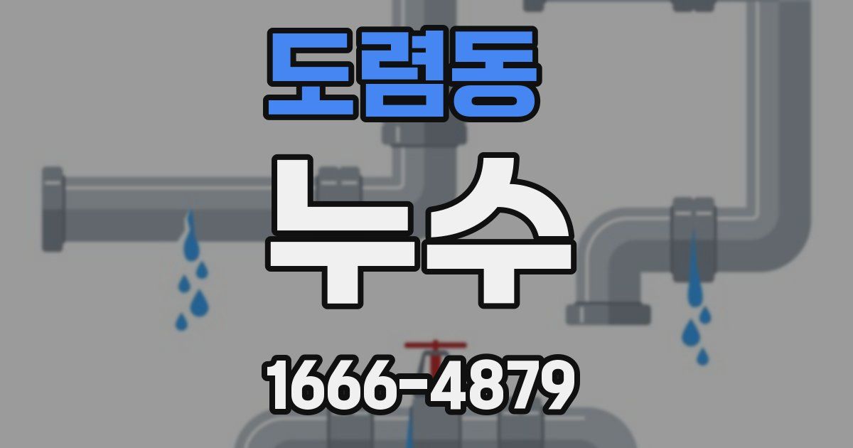 도렴동 누수