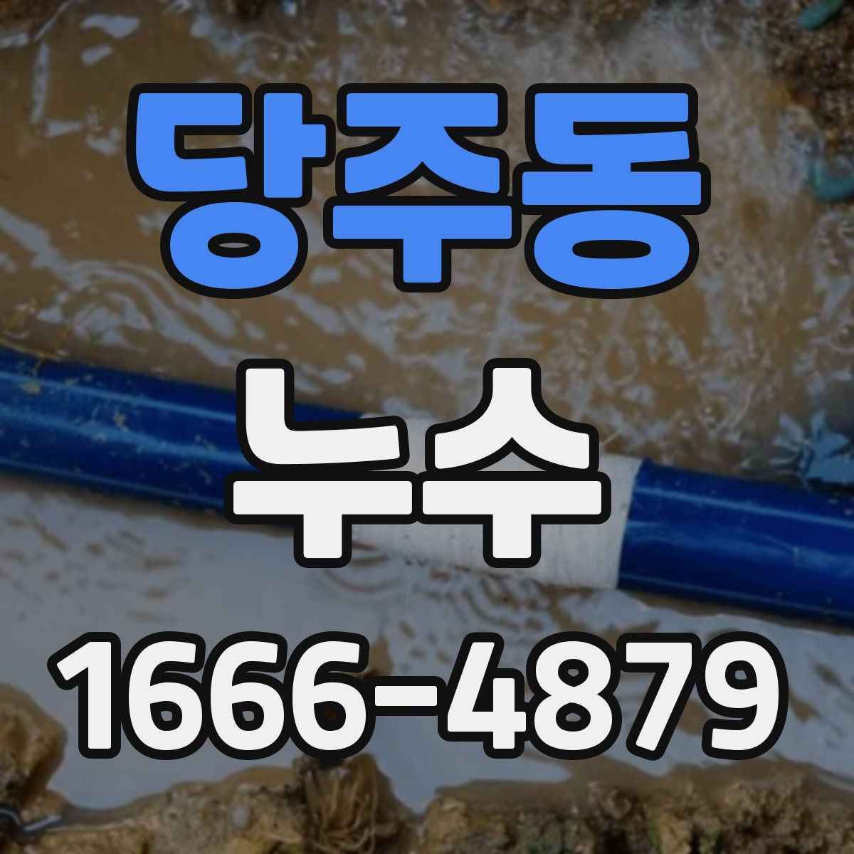 당주동 누수
