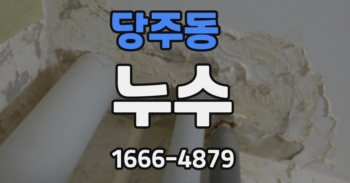 당주동 누수