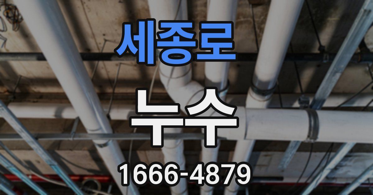 세종로 누수
