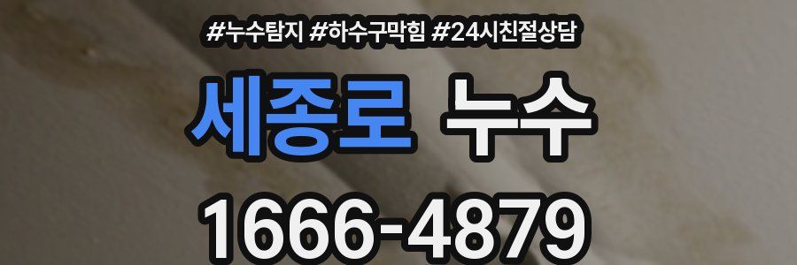 세종로 누수