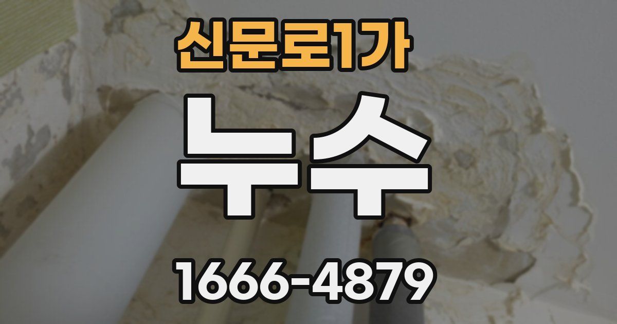 신문로1가 누수