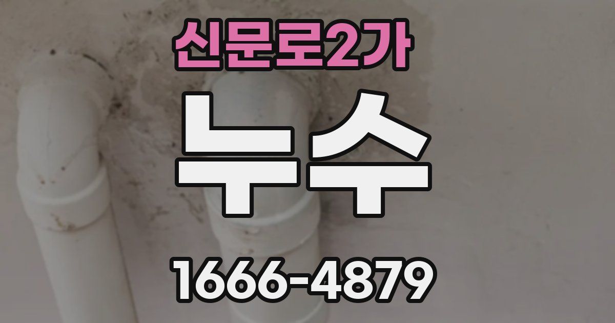 신문로2가 누수
