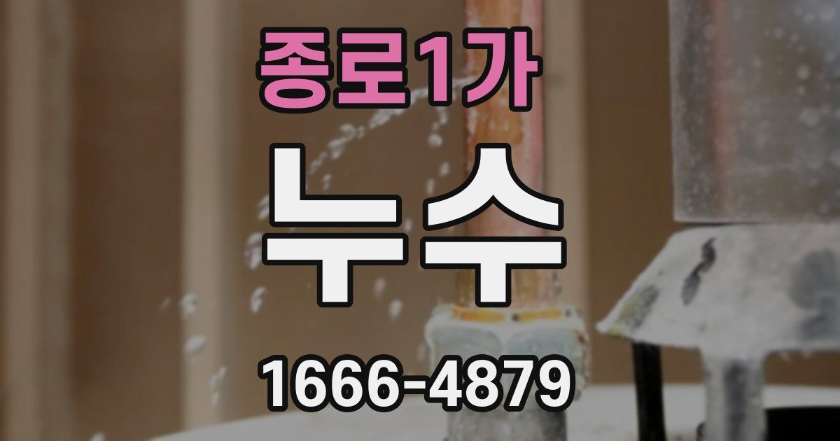 종로1가 누수