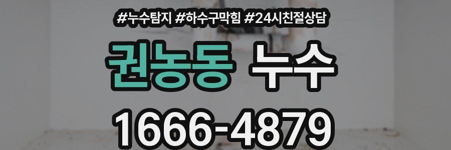 권농동 누수