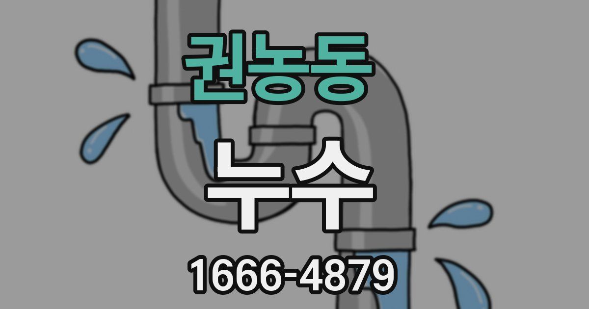 권농동 누수