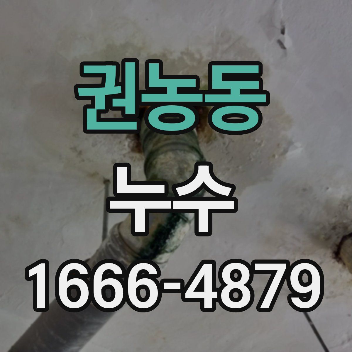 권농동 누수