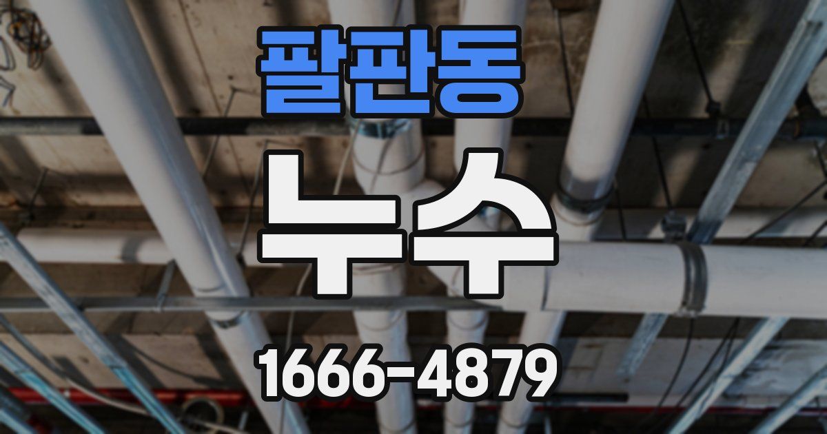 팔판동 누수