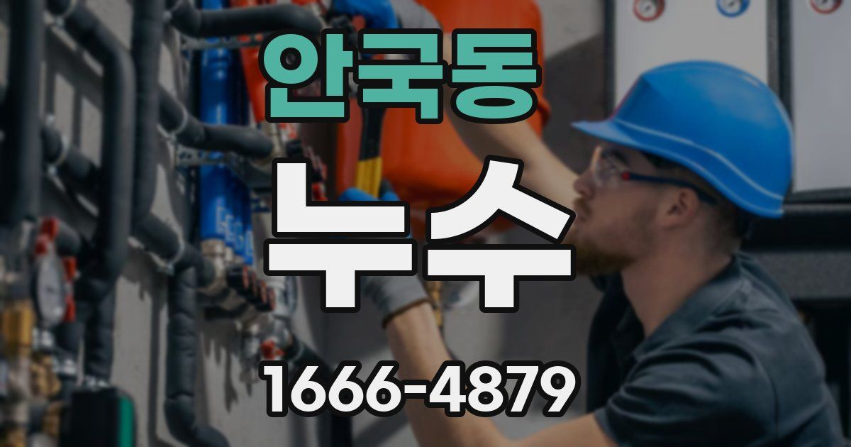 안국동 누수