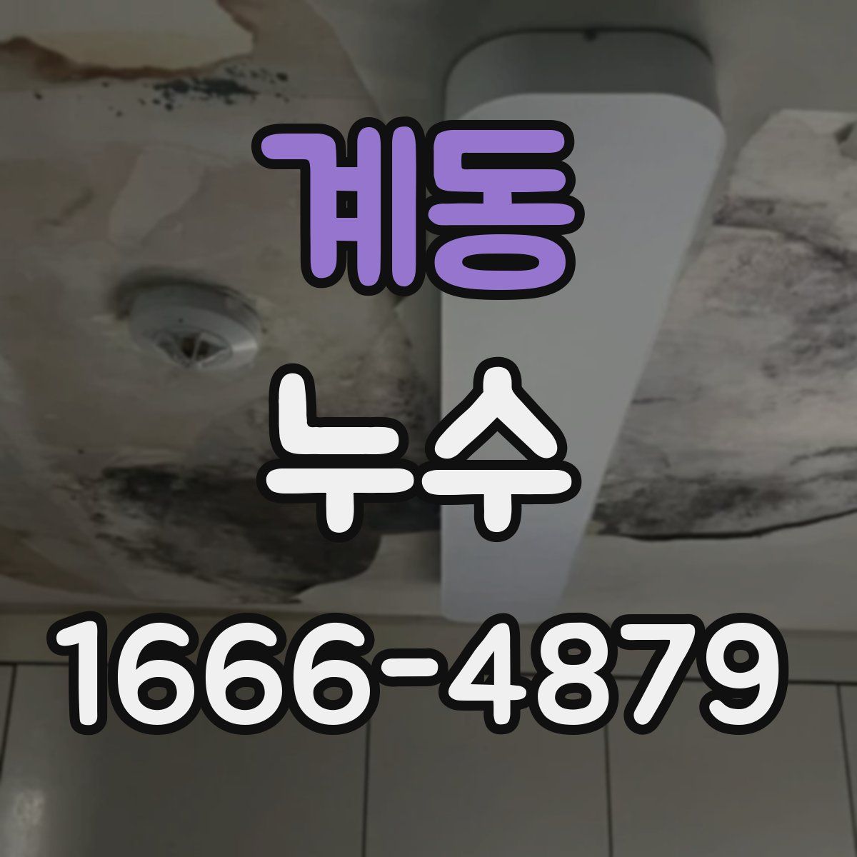 계동 누수
