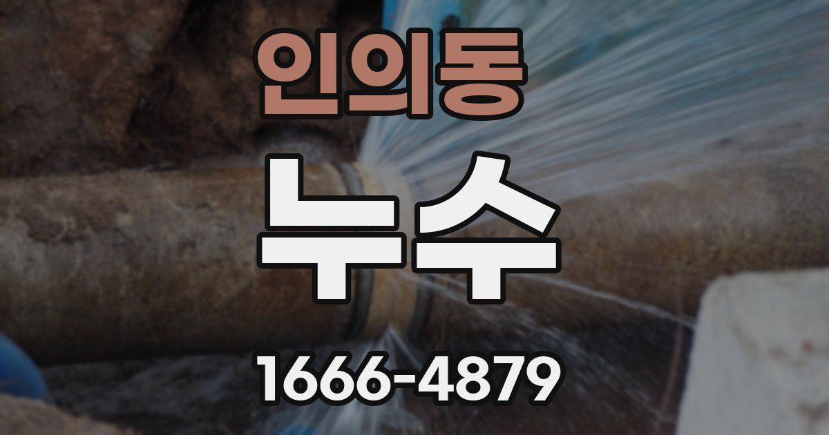 인의동 누수