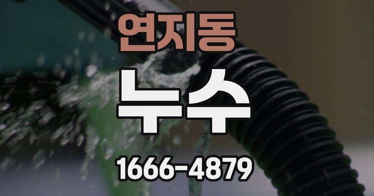 연지동 누수