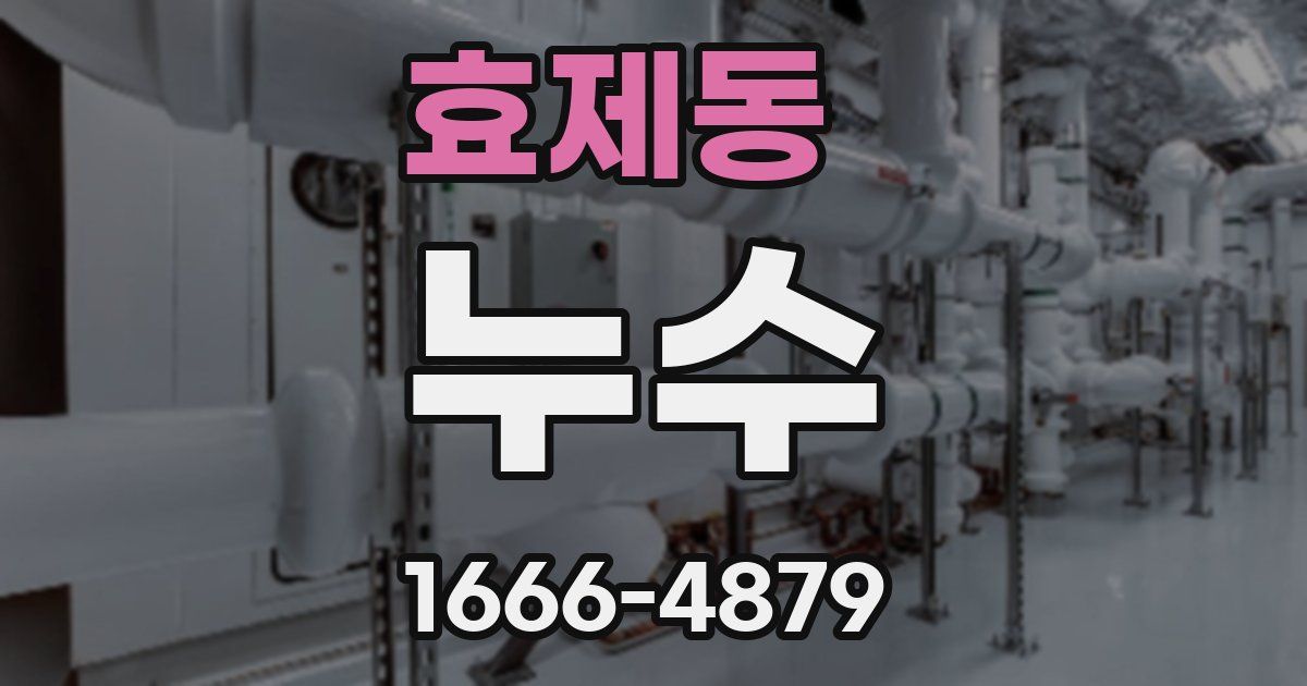 효제동 누수