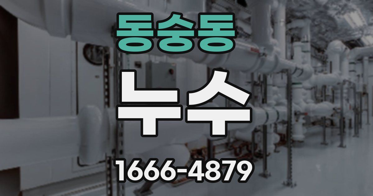 동숭동 누수
