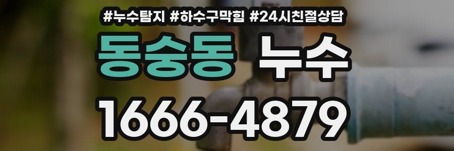 동숭동 누수