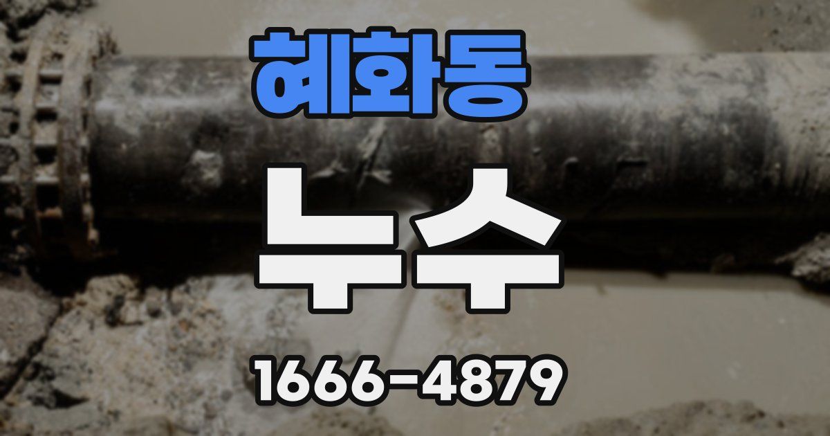 혜화동 누수