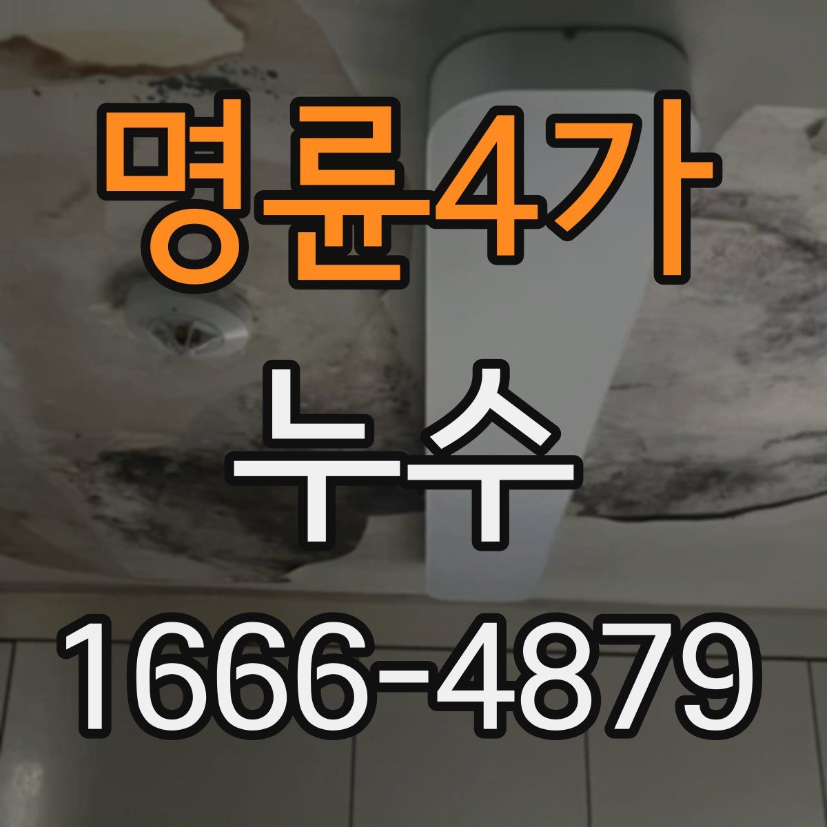 명륜4가 누수