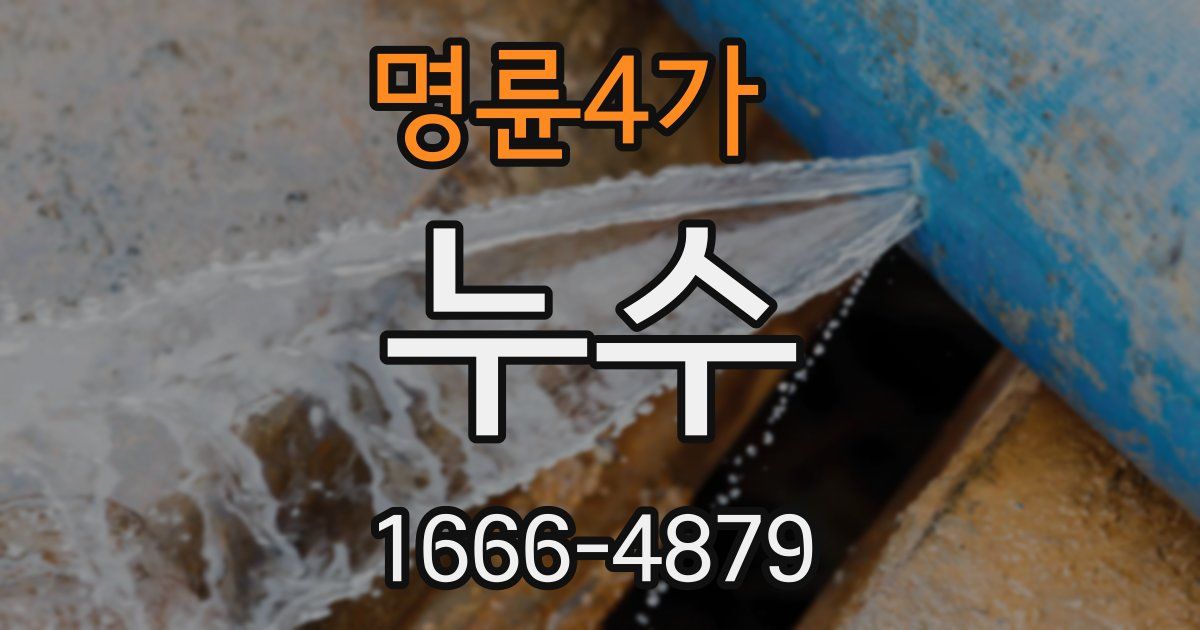 명륜4가 누수