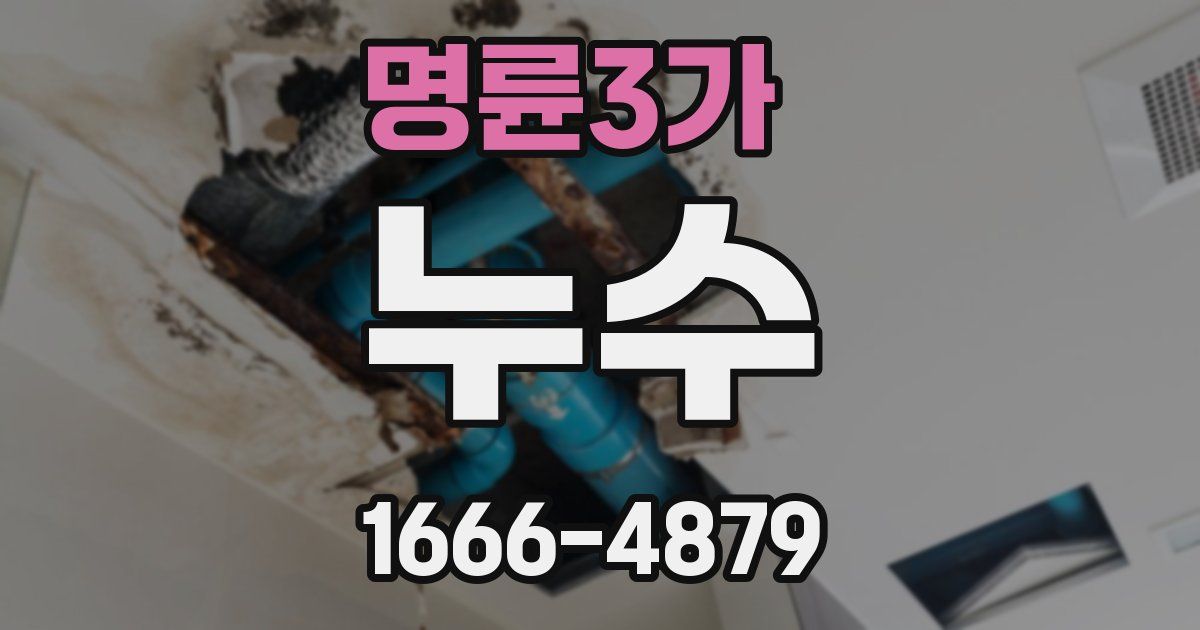 명륜3가 누수