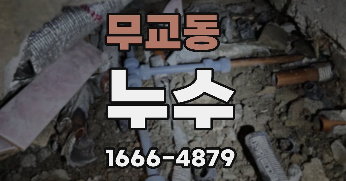 무교동 누수