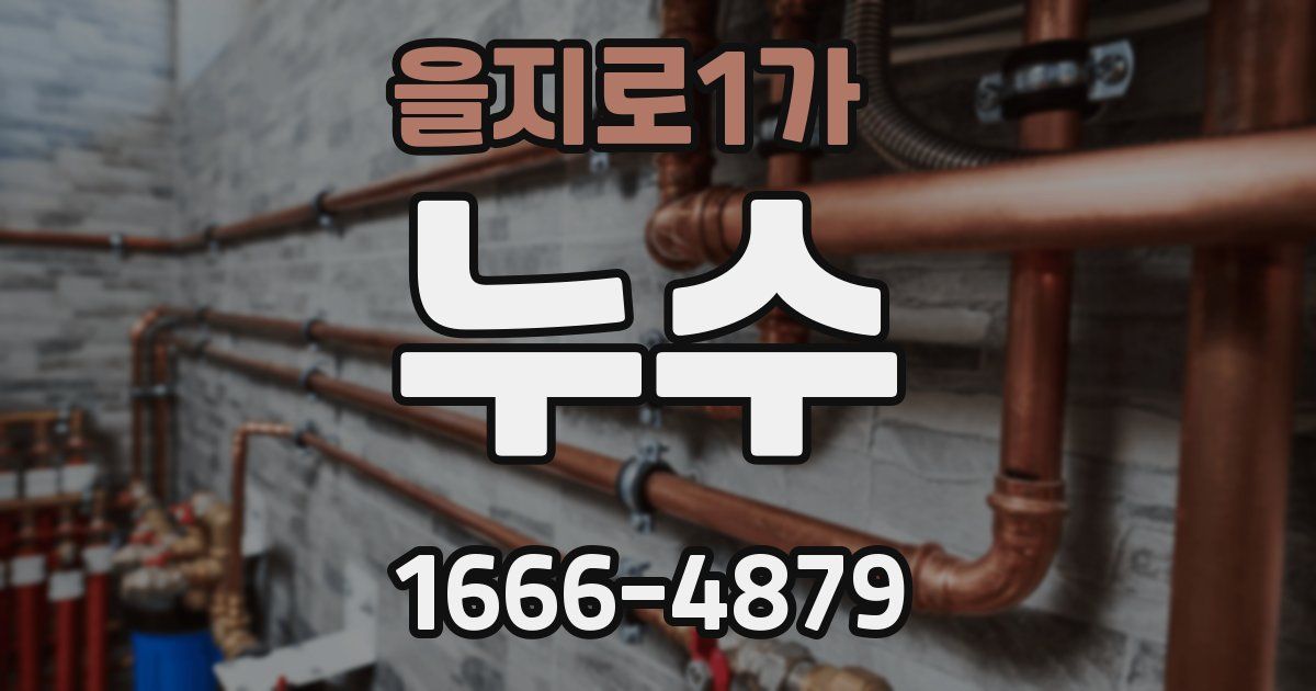 을지로1가 누수