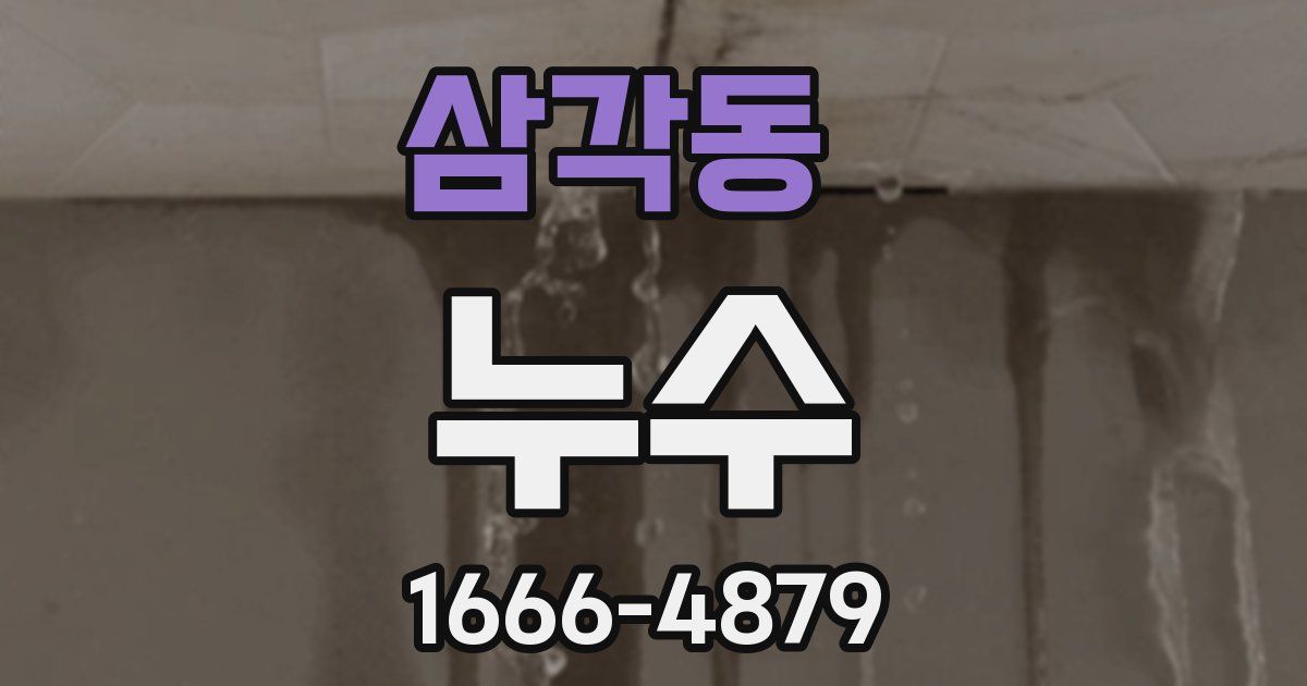 삼각동 누수