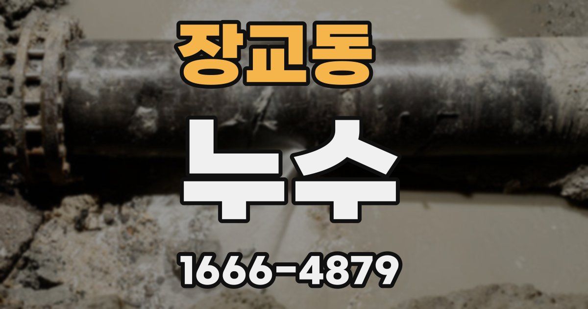 장교동 누수