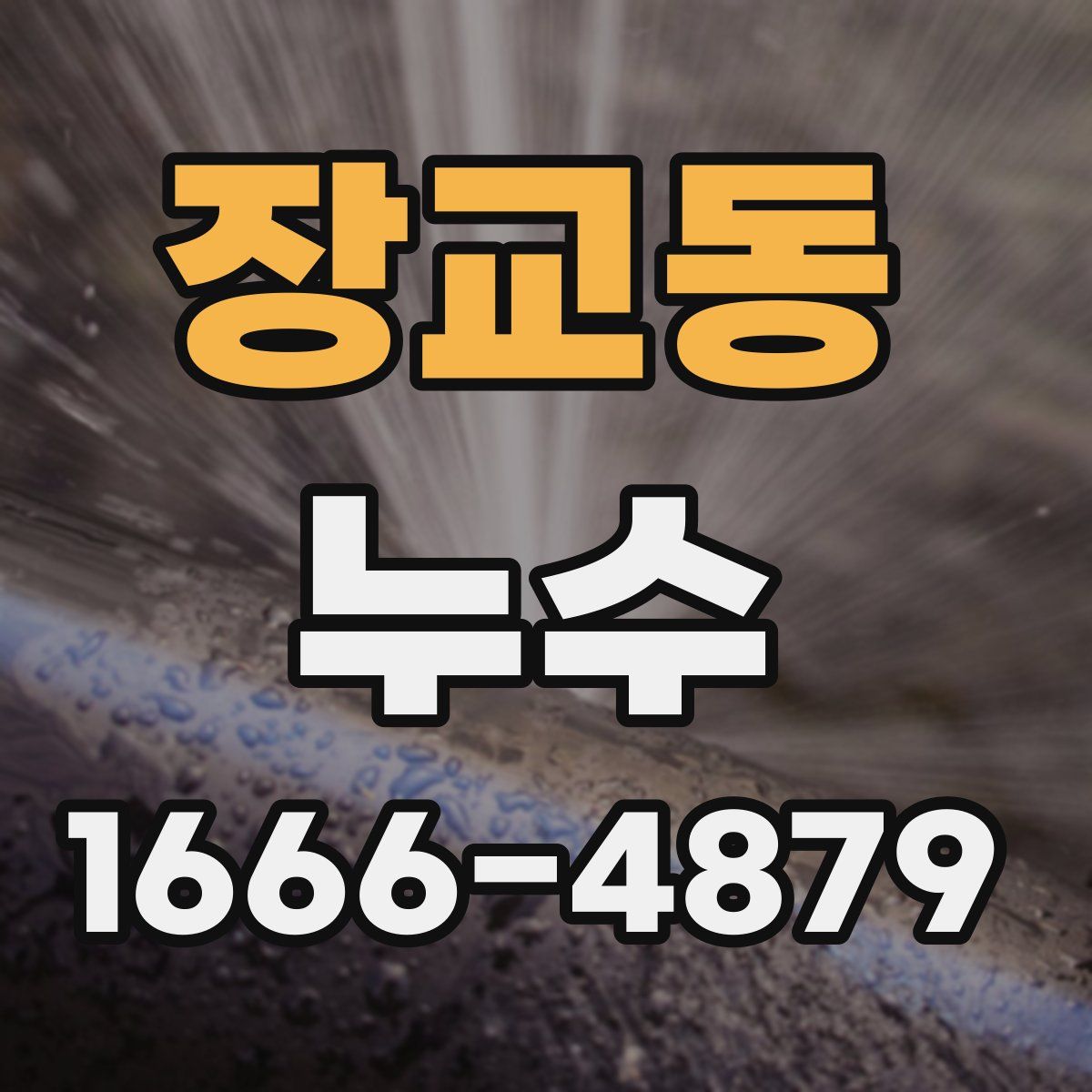 장교동 누수