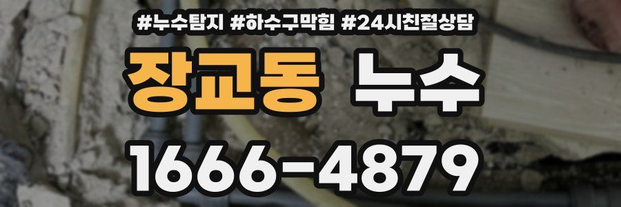 장교동 누수