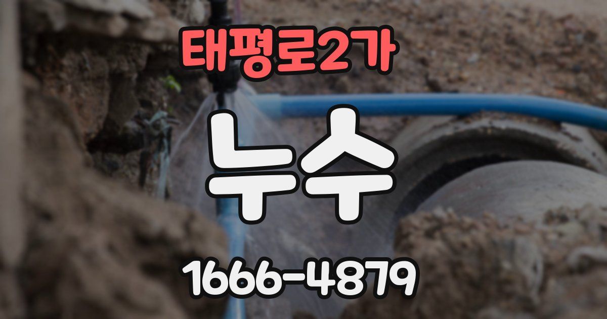 태평로2가 누수