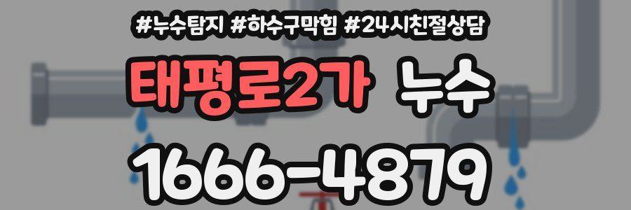 태평로2가 누수