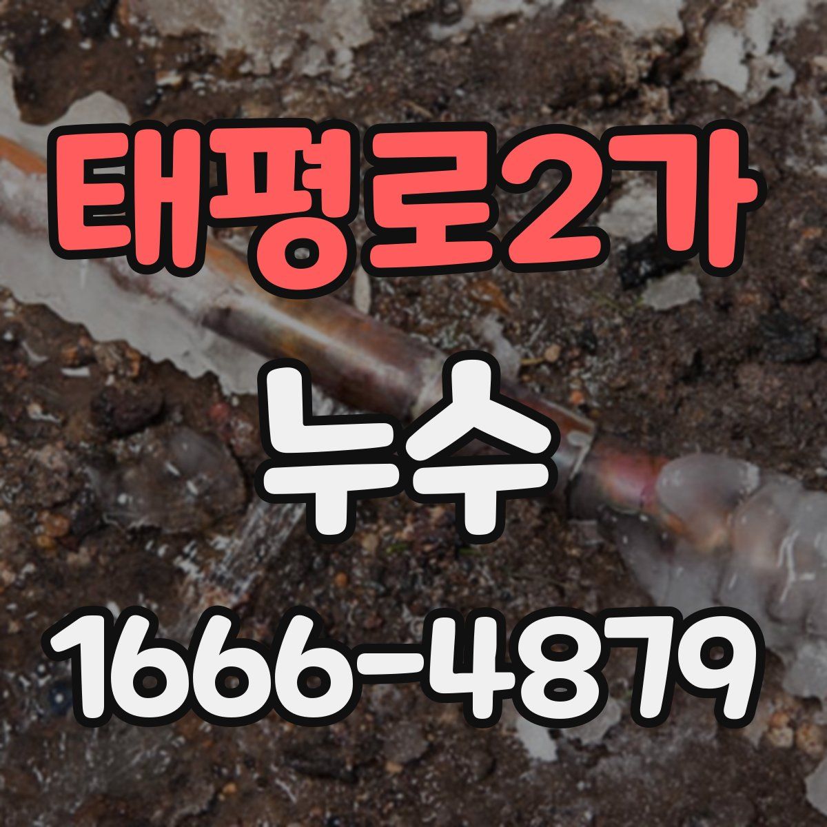 태평로2가 누수