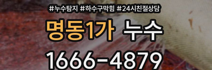 명동1가 누수