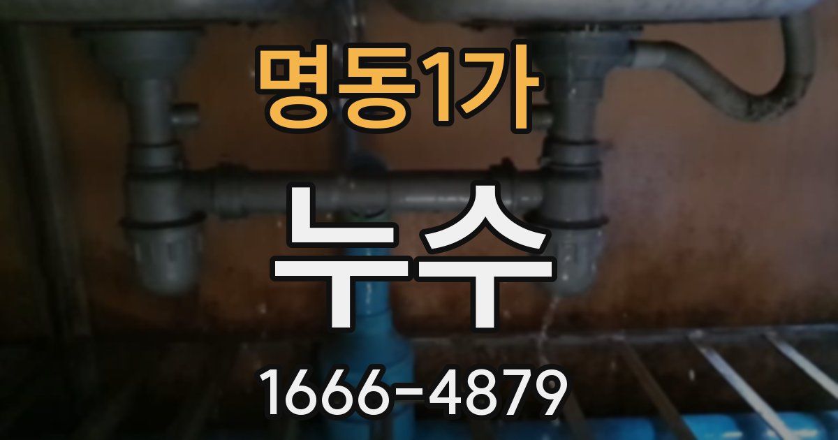 명동1가 누수