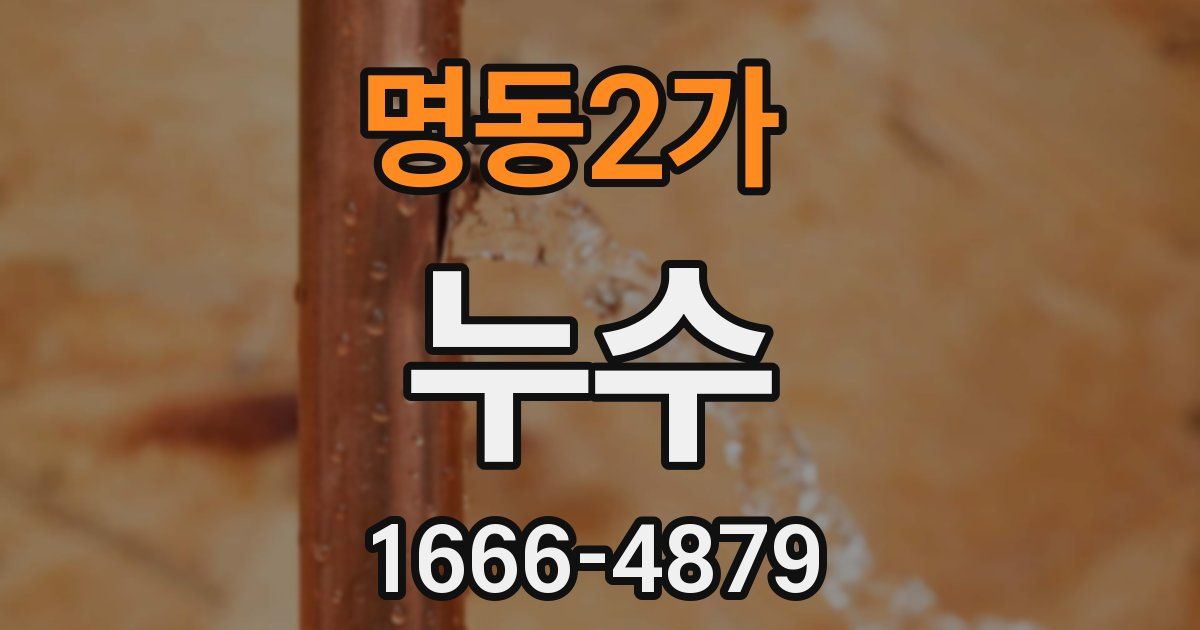 명동2가 누수