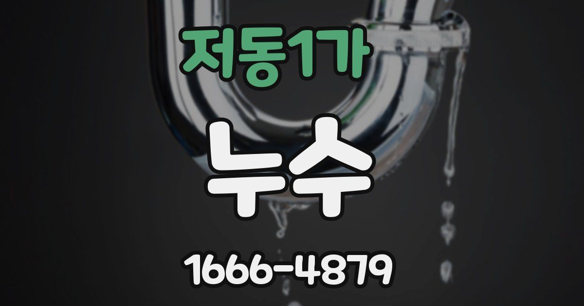 저동1가 누수