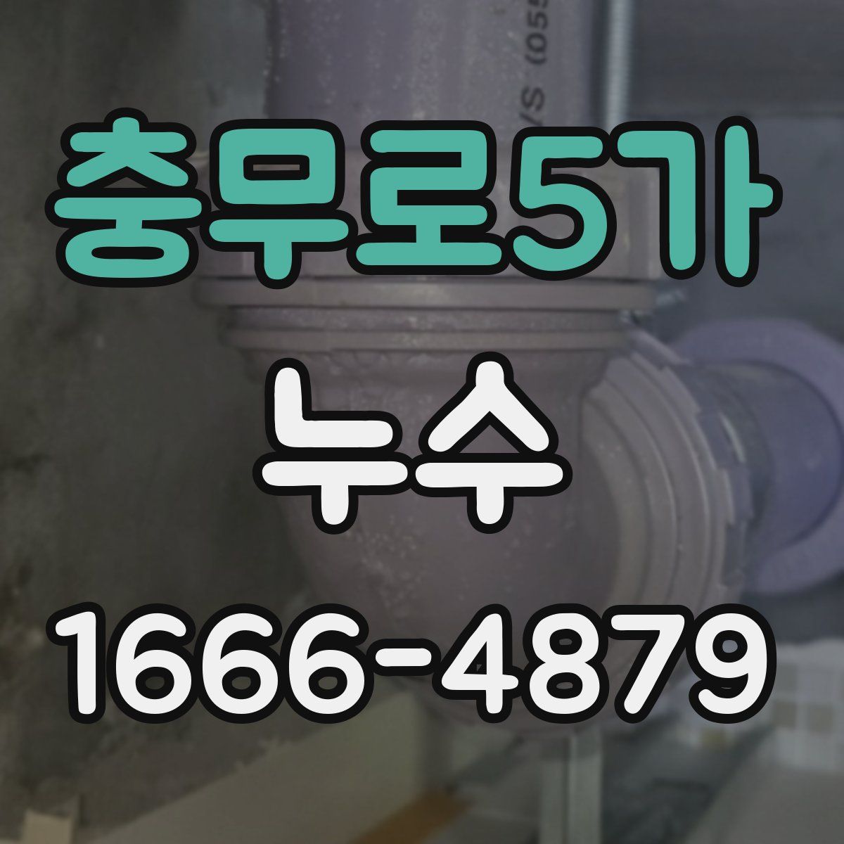 충무로5가 누수