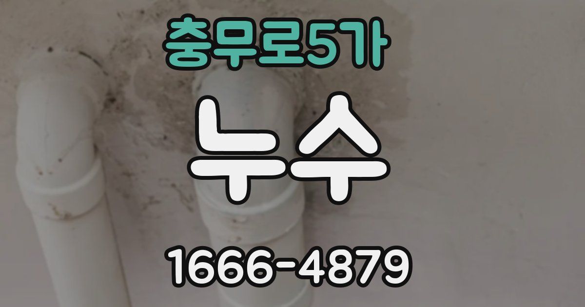 충무로5가 누수