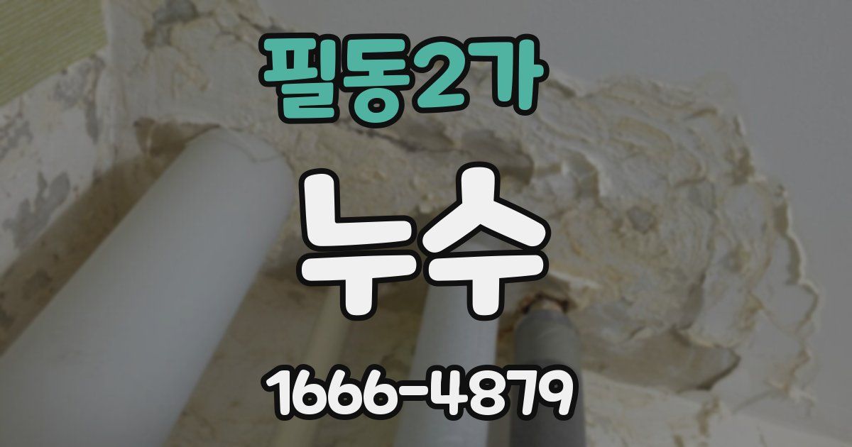 필동2가 누수