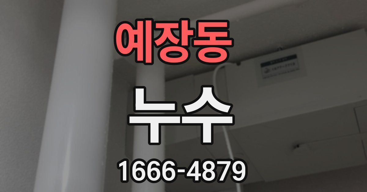 예장동 누수