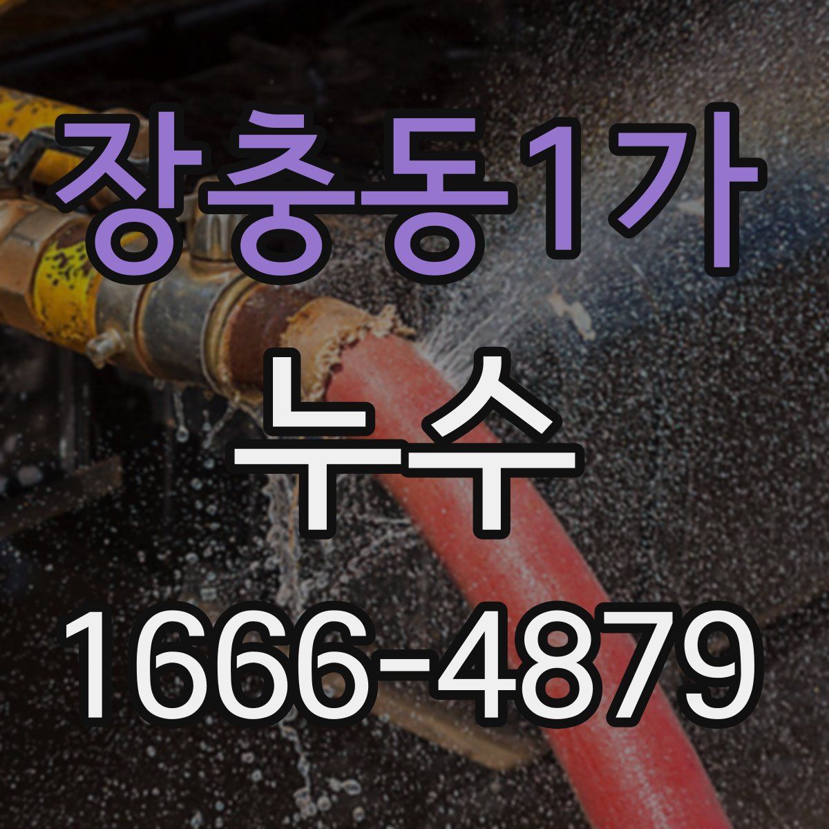 장충동1가 누수