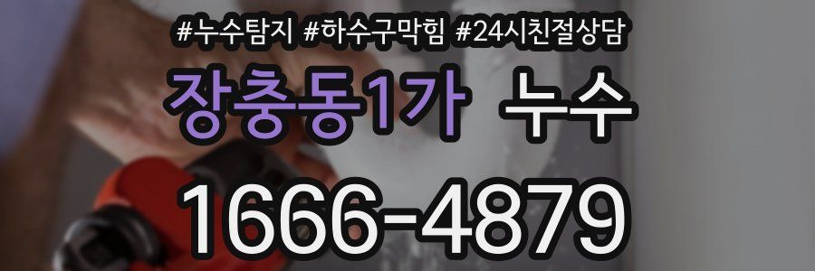 장충동1가 누수