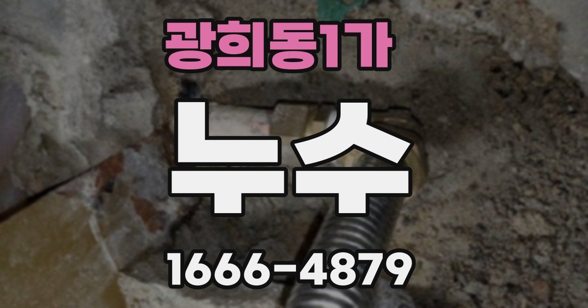 광희동1가 누수