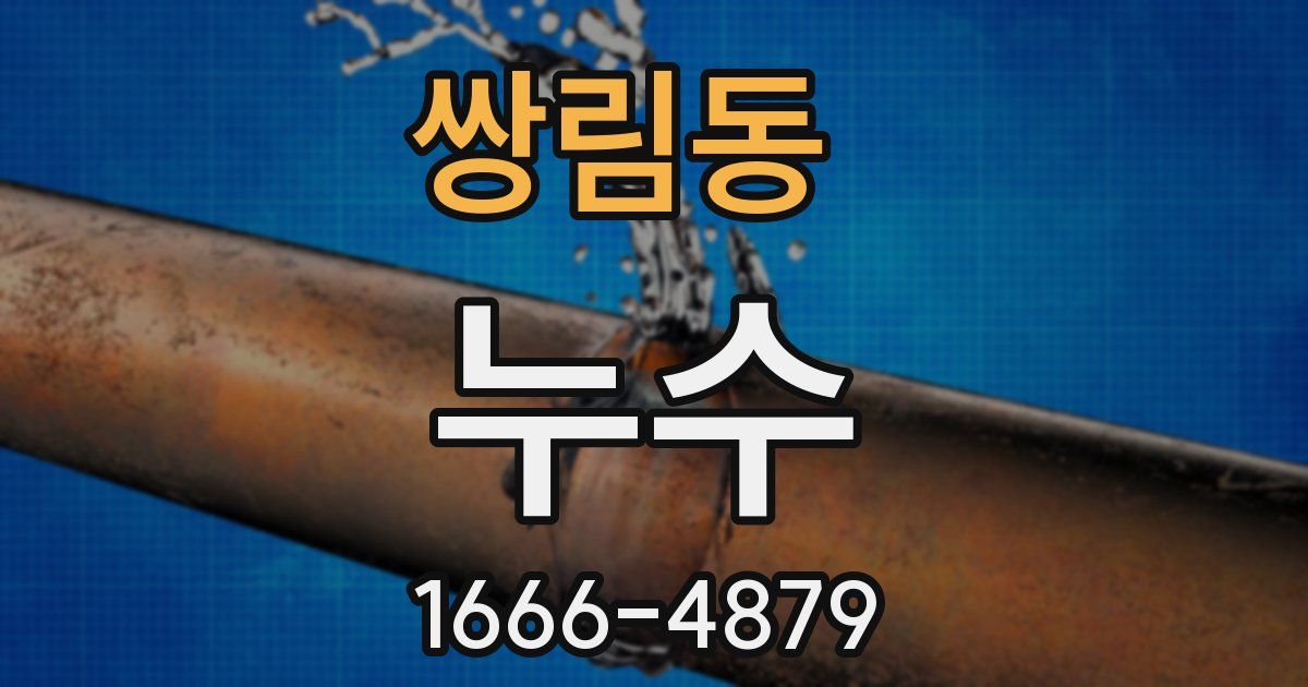 쌍림동 누수