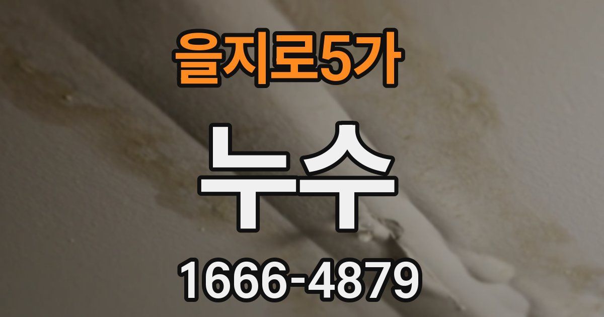 을지로5가 누수