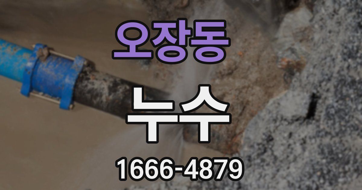 오장동 누수