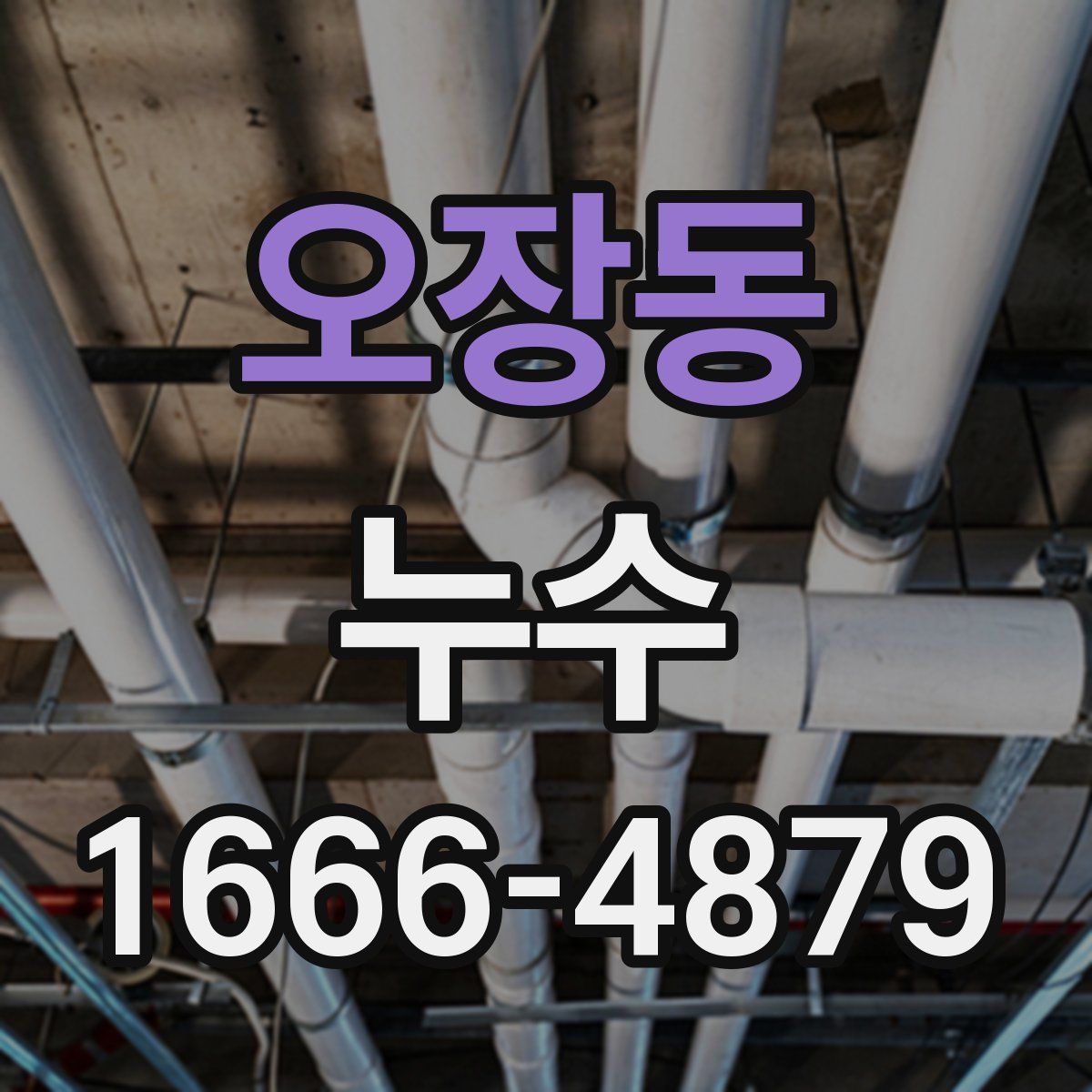 오장동 누수