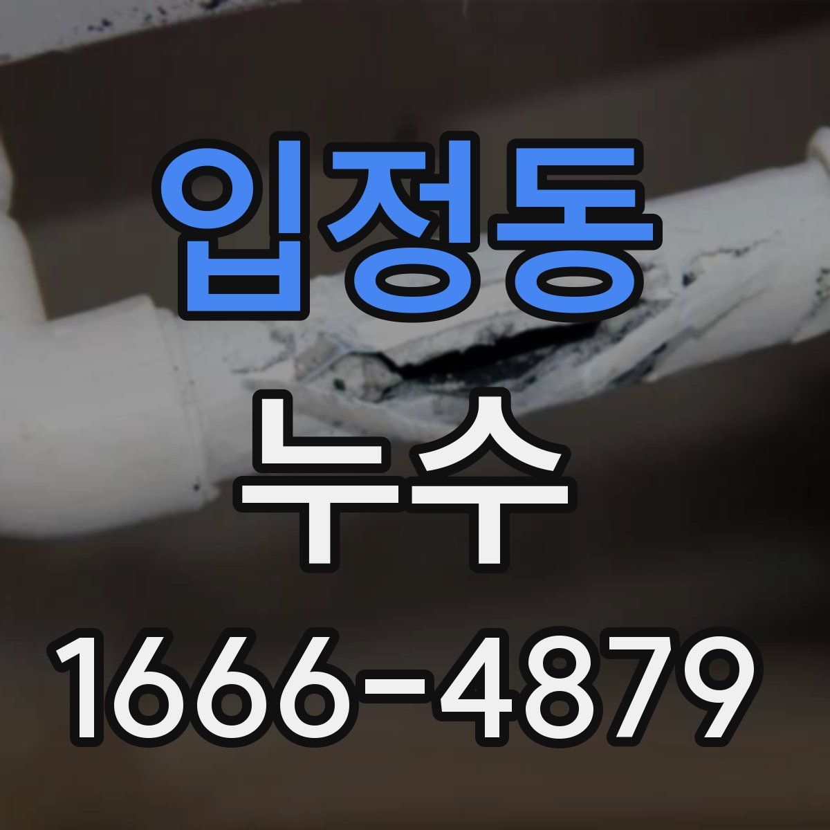 입정동 누수