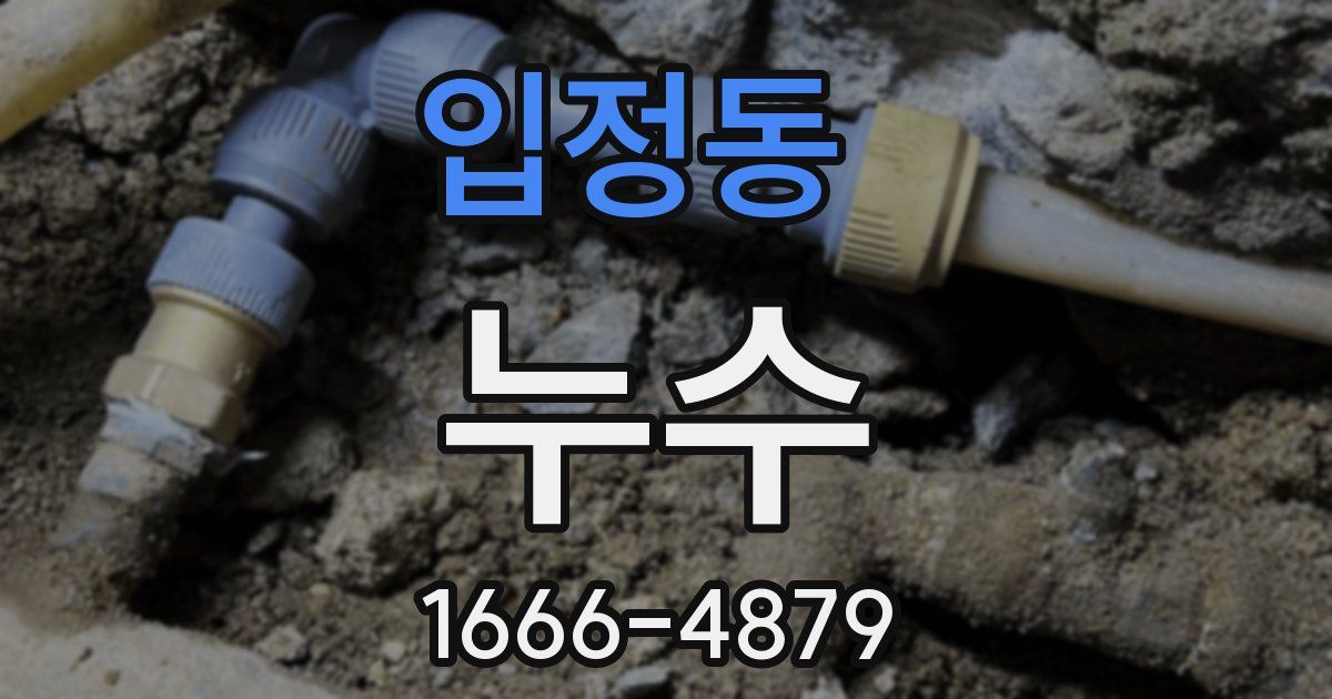 입정동 누수